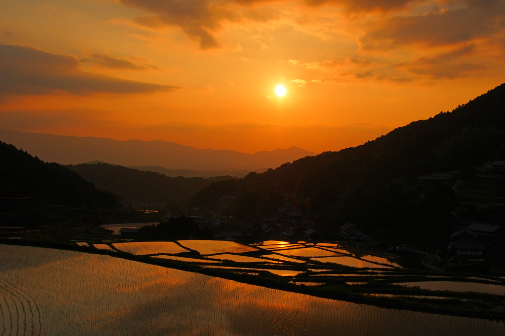 棚田夕照