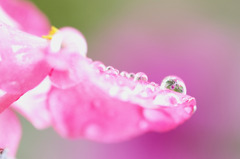 雨あがり