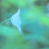 風のエオリア