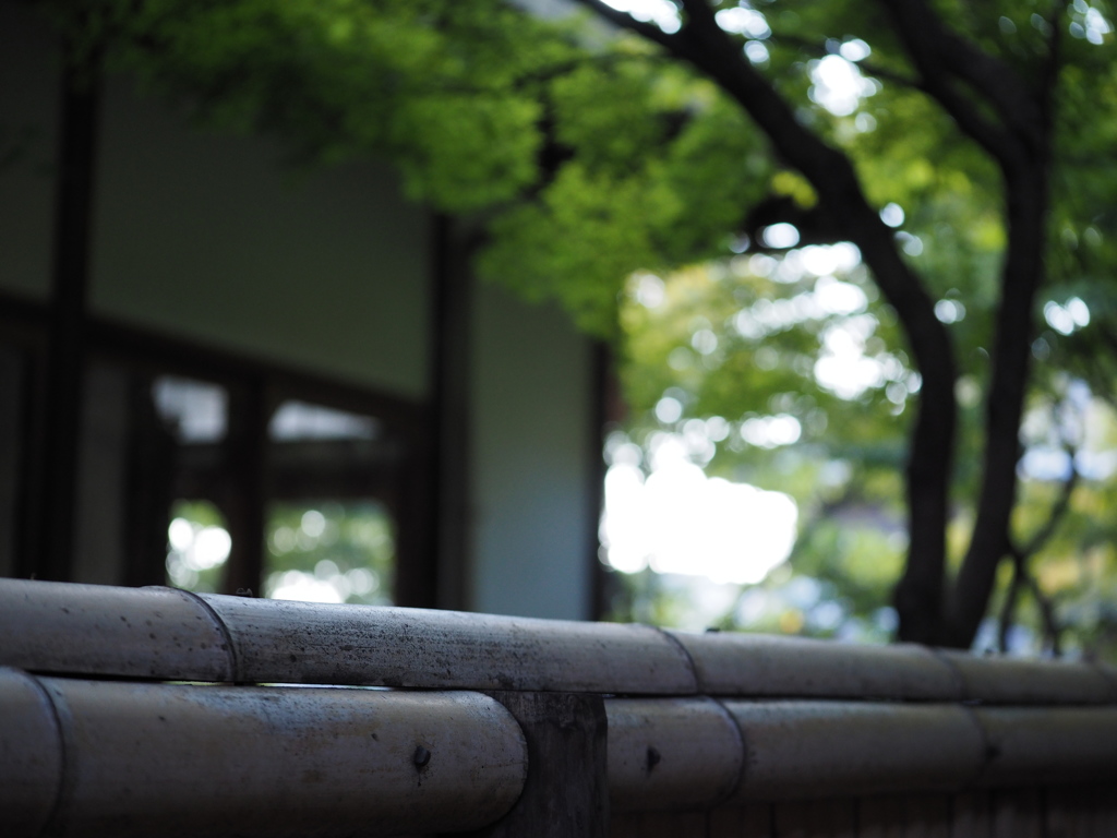 京都そぞろ歩き.16