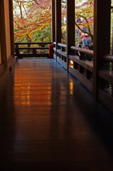 京都の紅葉2013　1-18
