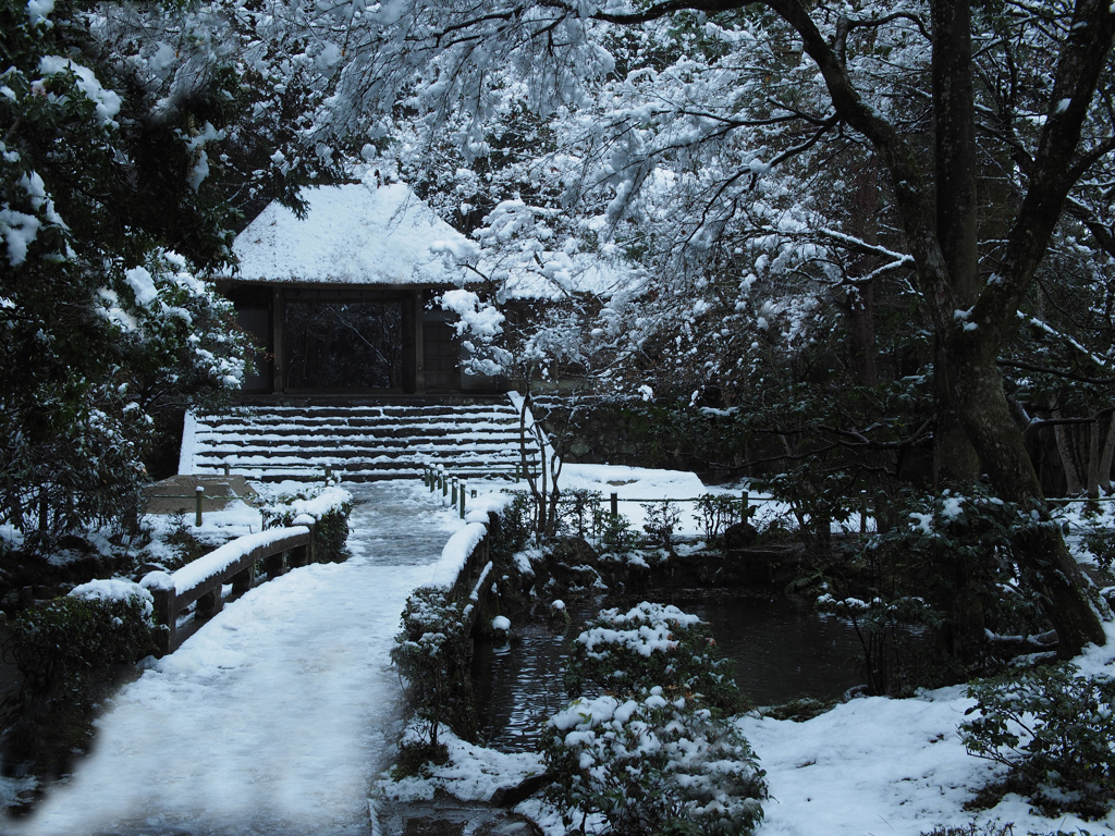法然院雪景色