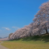 ある春の日に