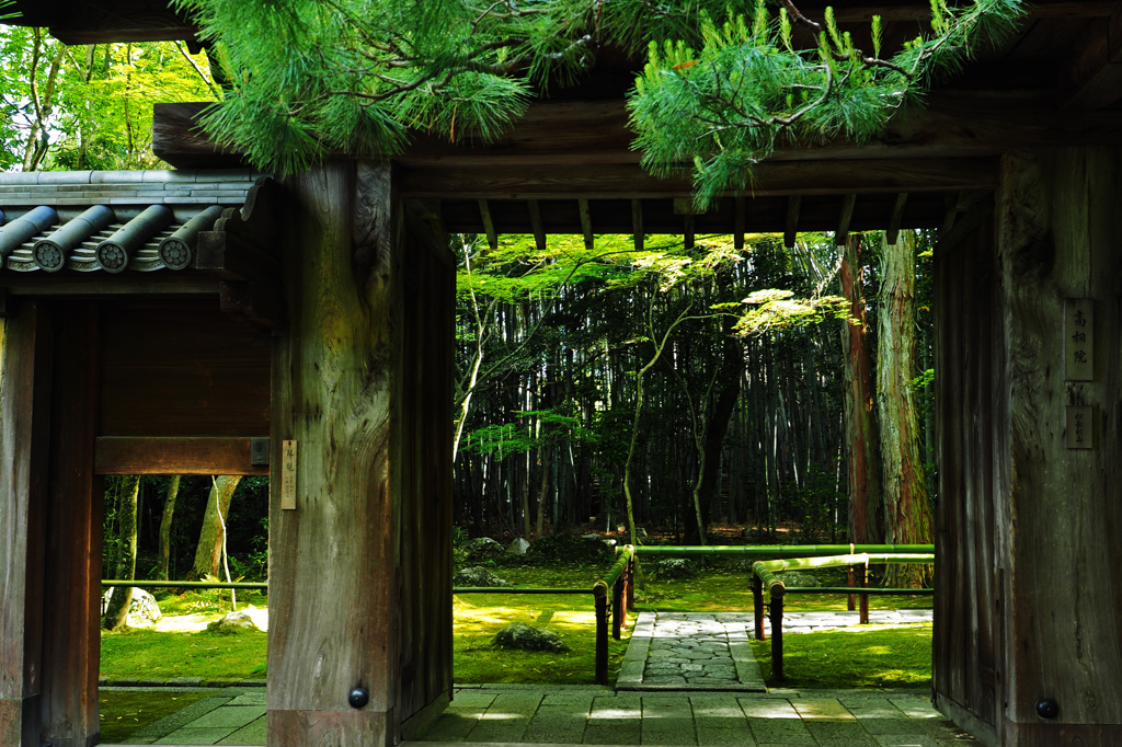 新緑の京都 - 4