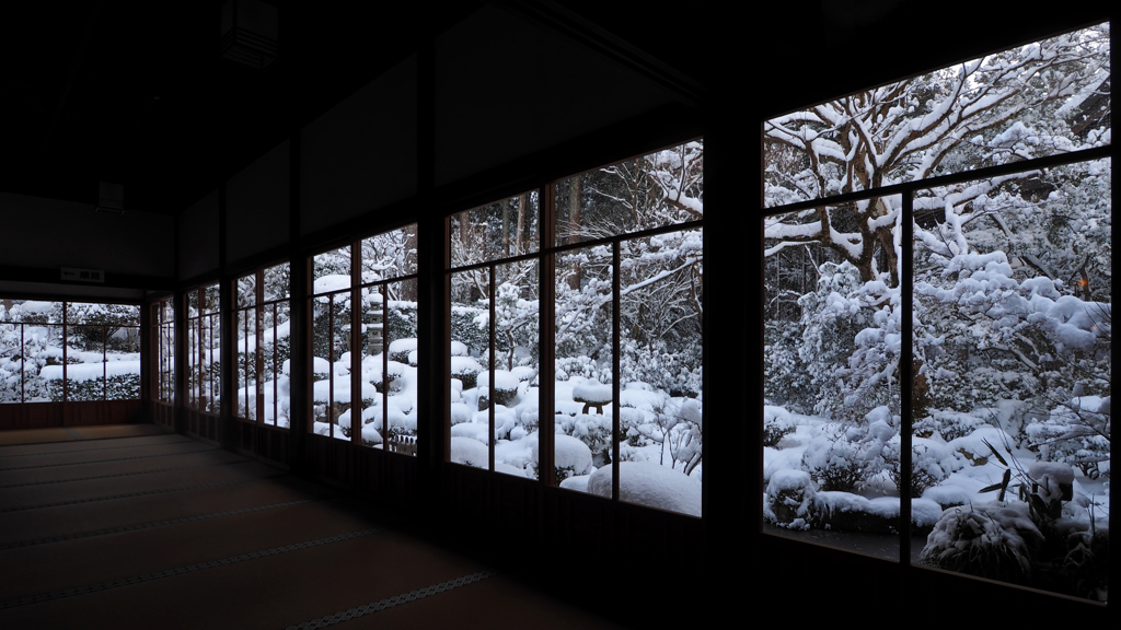 ガラス戸越しの雪の庭