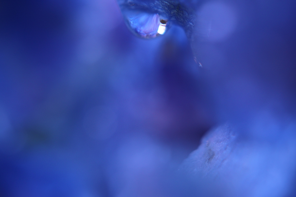 Mystic blue