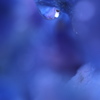 Mystic blue