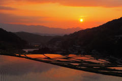 夕焼け棚田