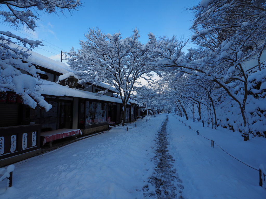 雪の京都-1