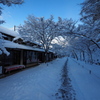 雪の京都-1