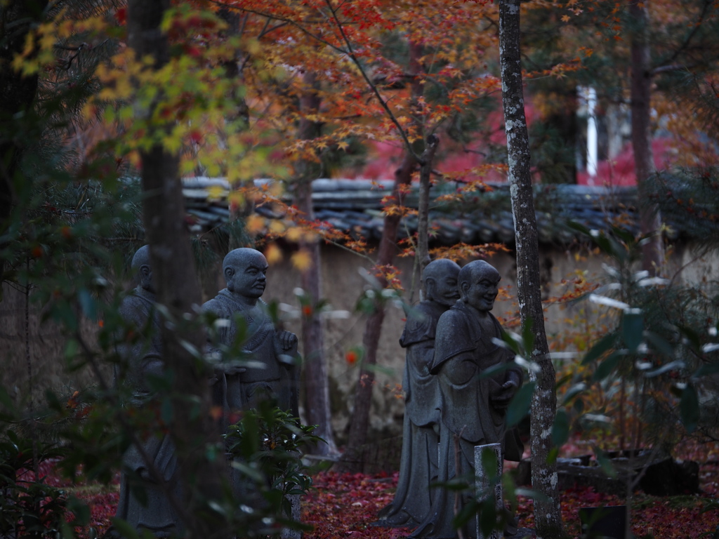 京都の紅葉2013　2-17