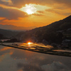 夕日に輝く棚田