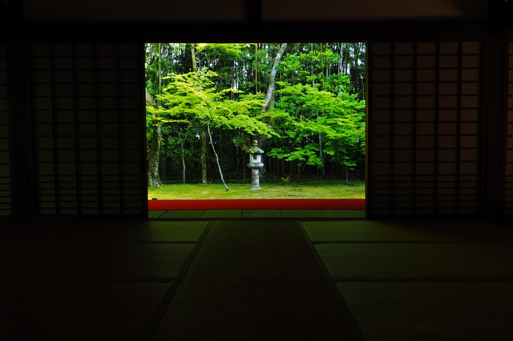 新緑の京都 - 7