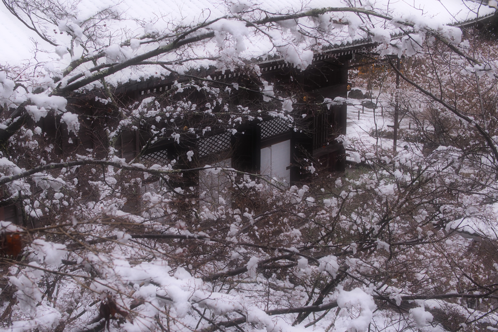 雪の京都-4