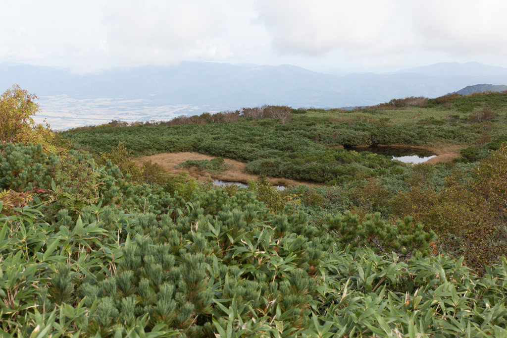 チセヌプリ山頂の池