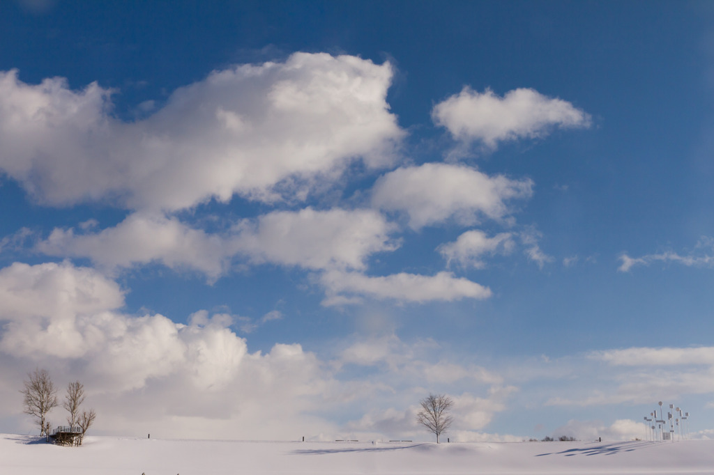 空と雪と木