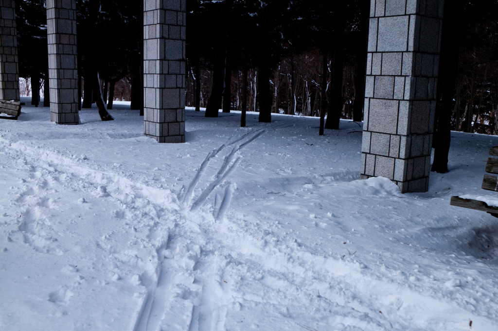 別の道へ