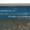 埋没