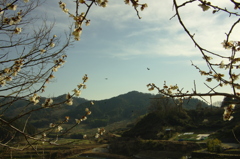 里山の夕暮れ