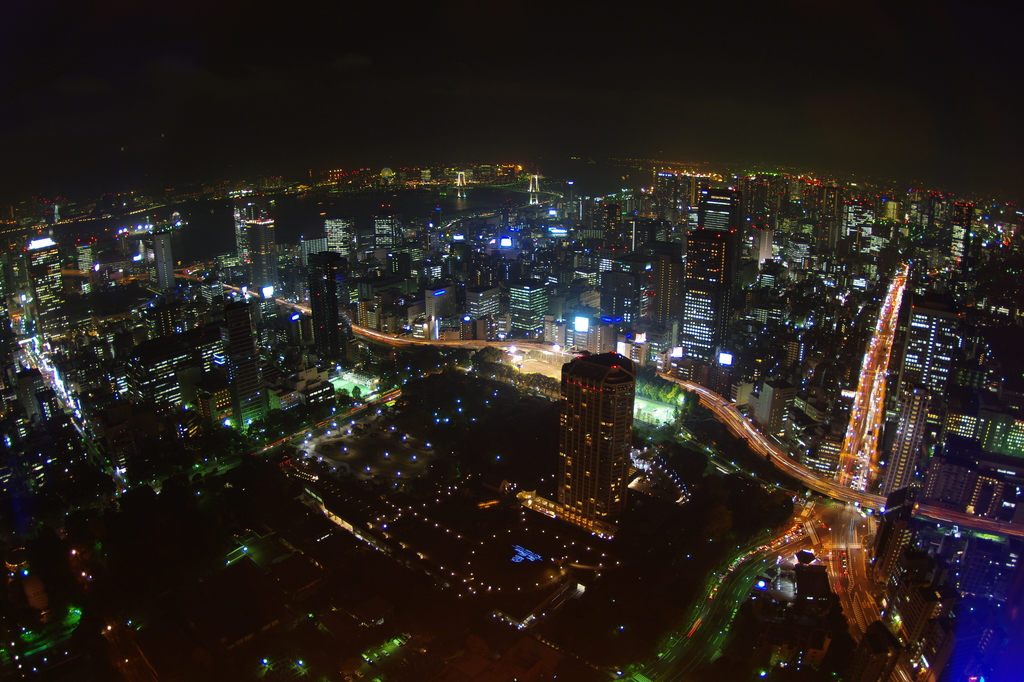東京タワーからの夜景①