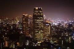 東京タワーからの夜景②