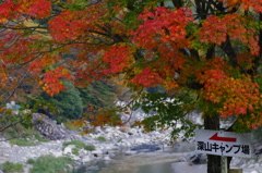 愛知川上流（深山キャンプ場）