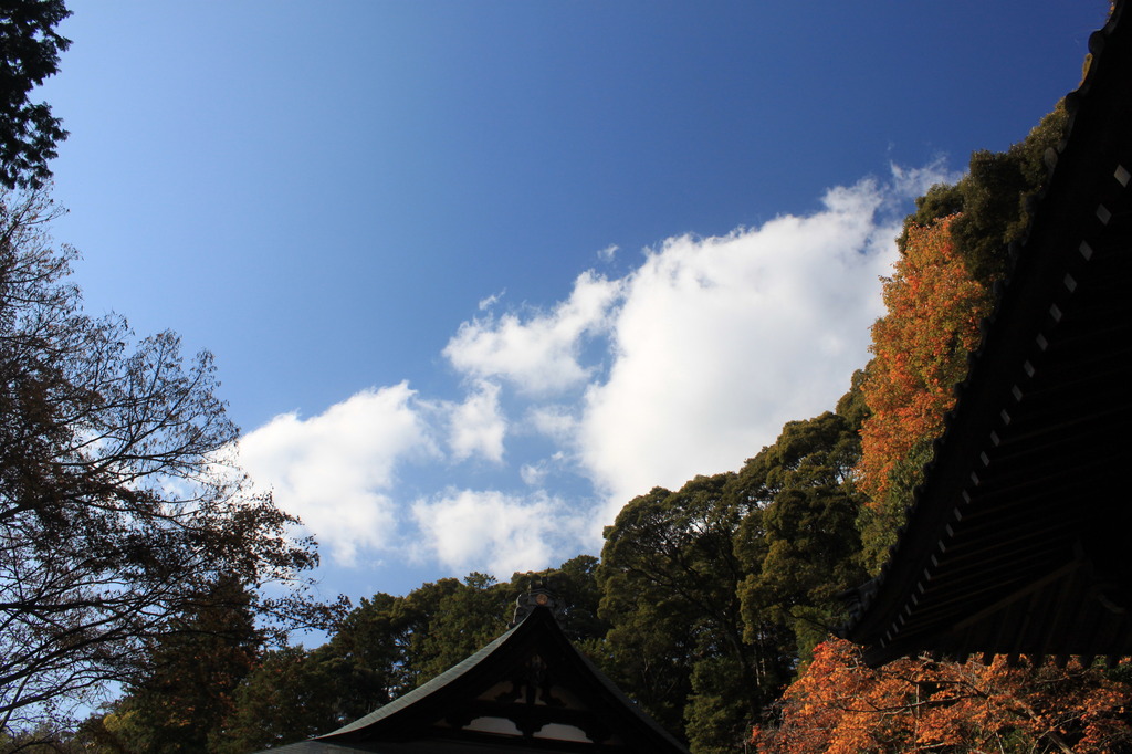 神峯山寺　雲