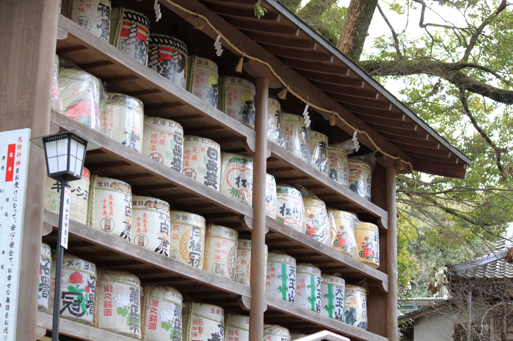 これ全部飲めたら( ^^) _旦~~