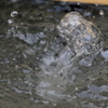 水しぶき