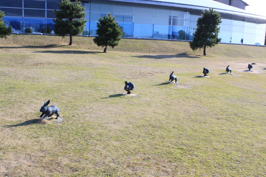 跳ぶウサギ