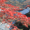 神峯山寺　紅葉