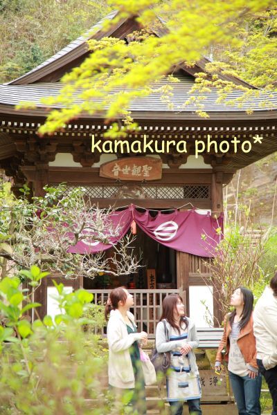 お寺巡り