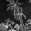 夜のマリオット