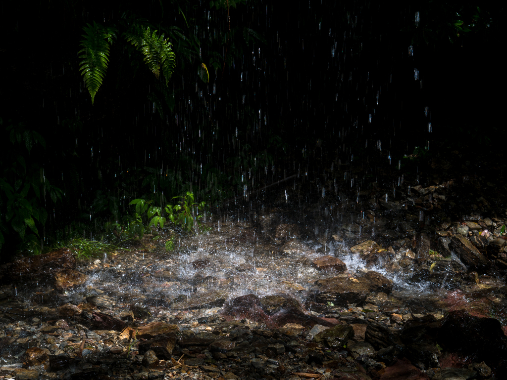 大雨の後に