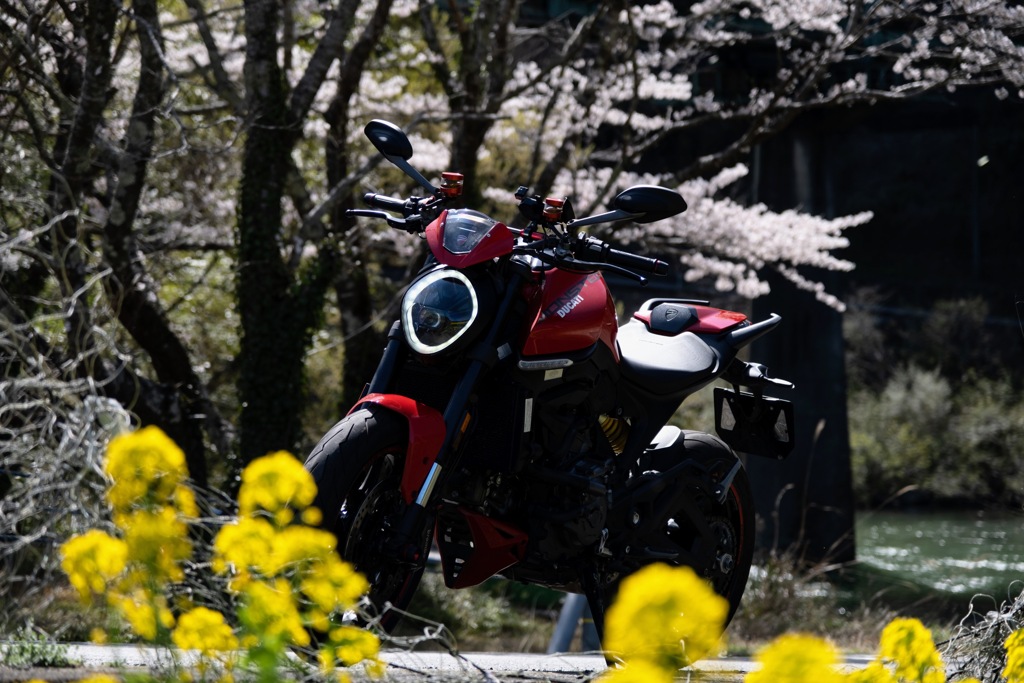 花見はバイクにて