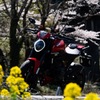 花見はバイクにて