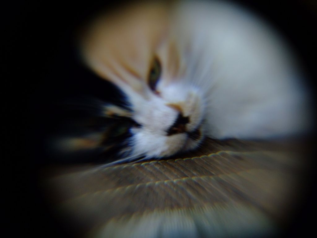 露光間ズーミングもどき