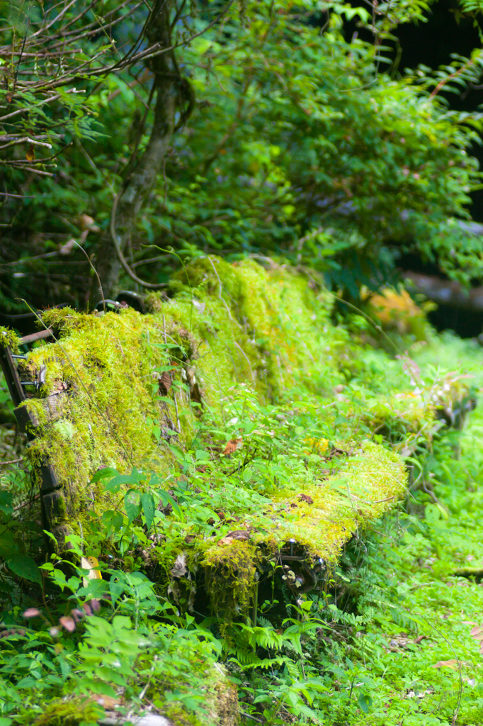 山のベンチ