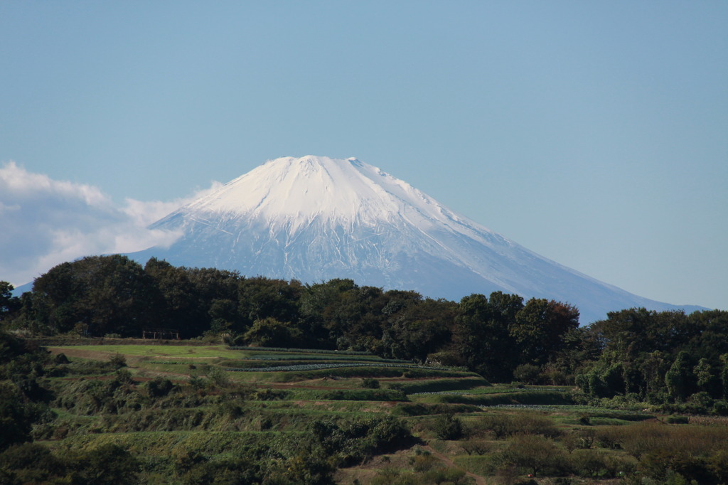 日向ヶ丘からの富士山