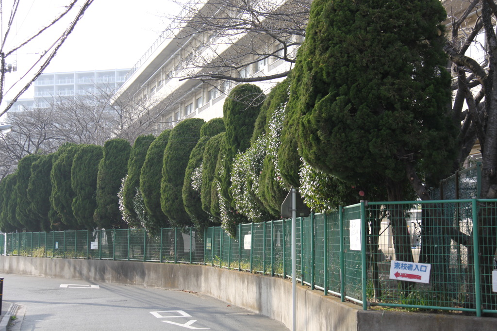 どこにでもある懐かしい風景