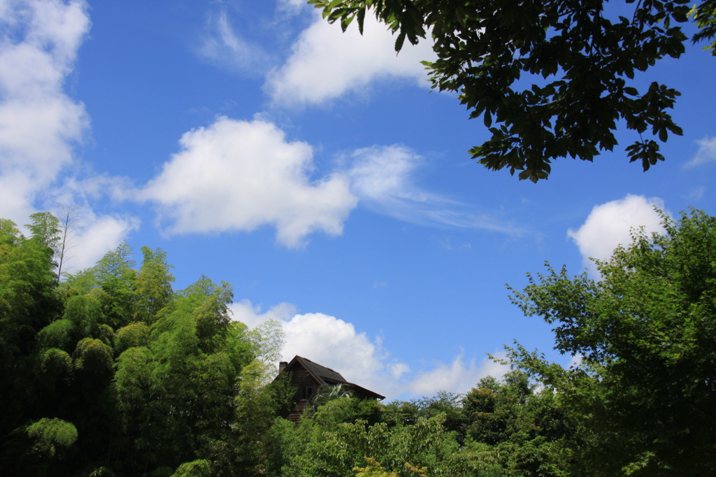 夏空と