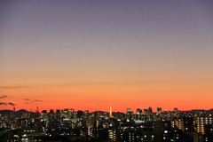 夕焼けと東京タワー