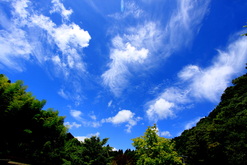 夏雲