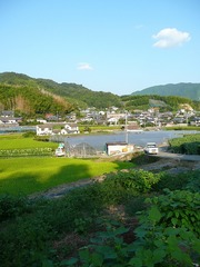 見降ろして