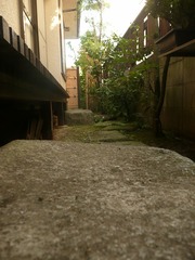 通り道