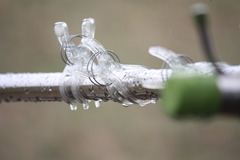 雨上がり