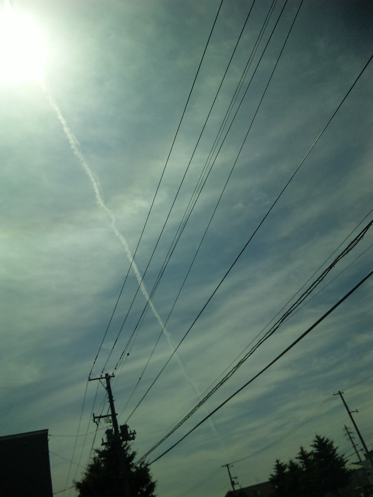 太陽に届け