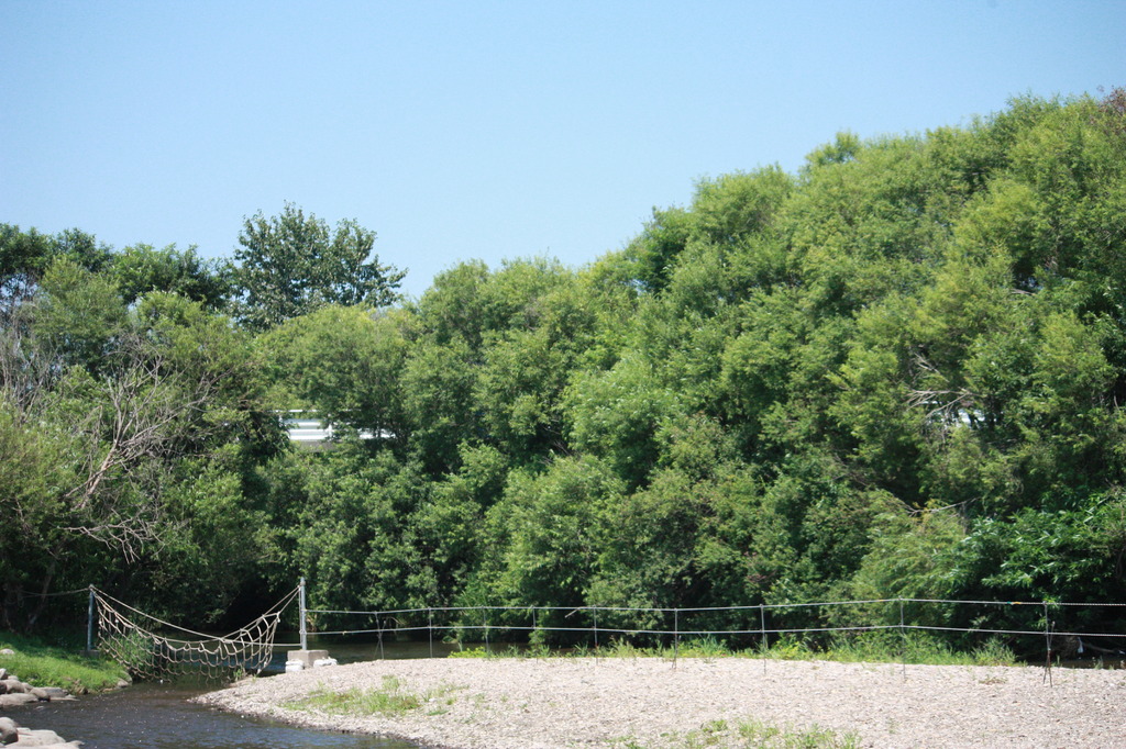 川と木と空