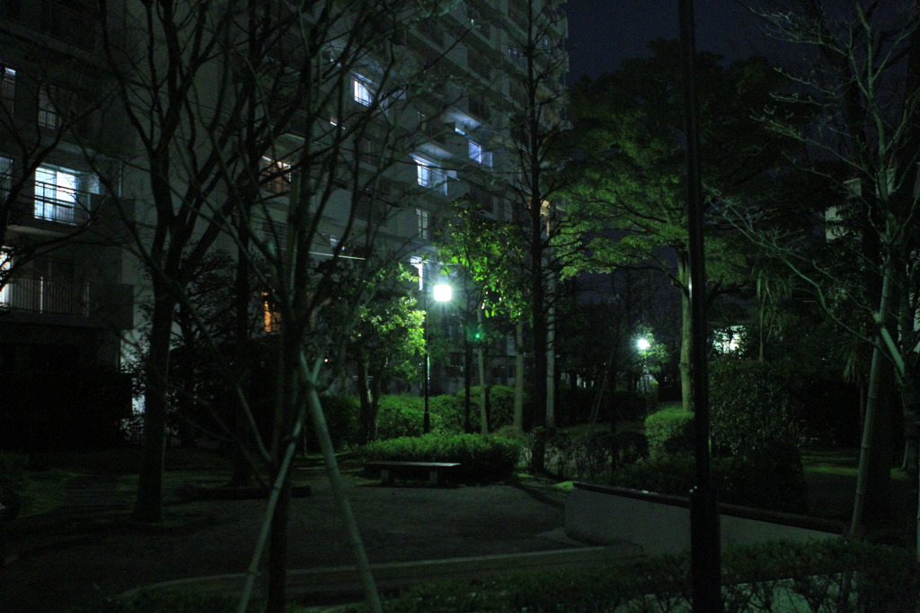 モラトリアム最後の夜に