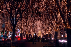 仙台　光のページェント